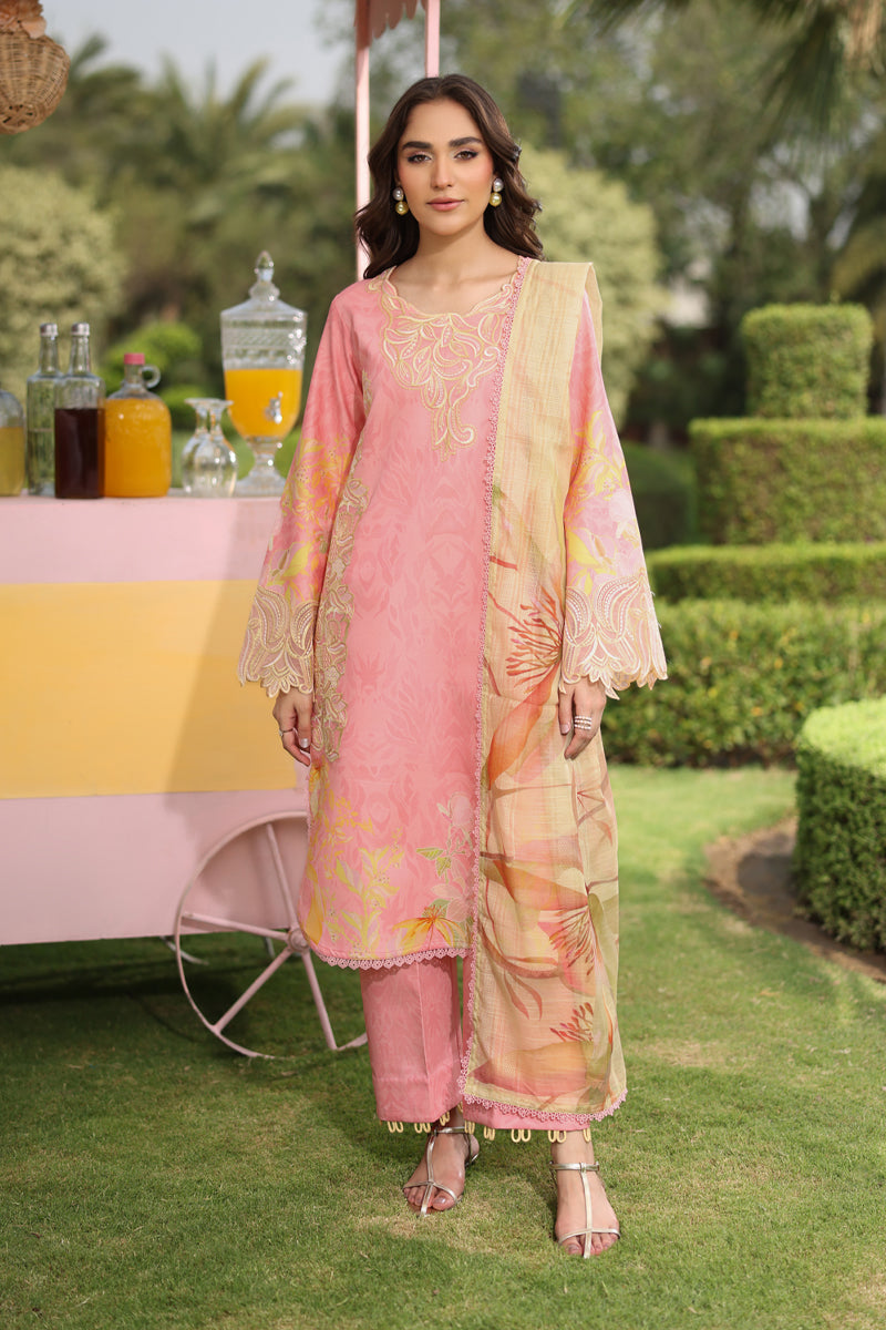 Rang Rasiya Printed Lawn Suits Unstitched 3 Piece Vaneeza
