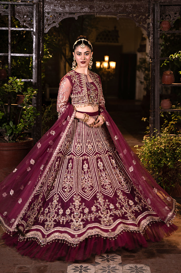 Saanjh Organza Embroidered collection By Razab - Tishnagi (SJH-05)