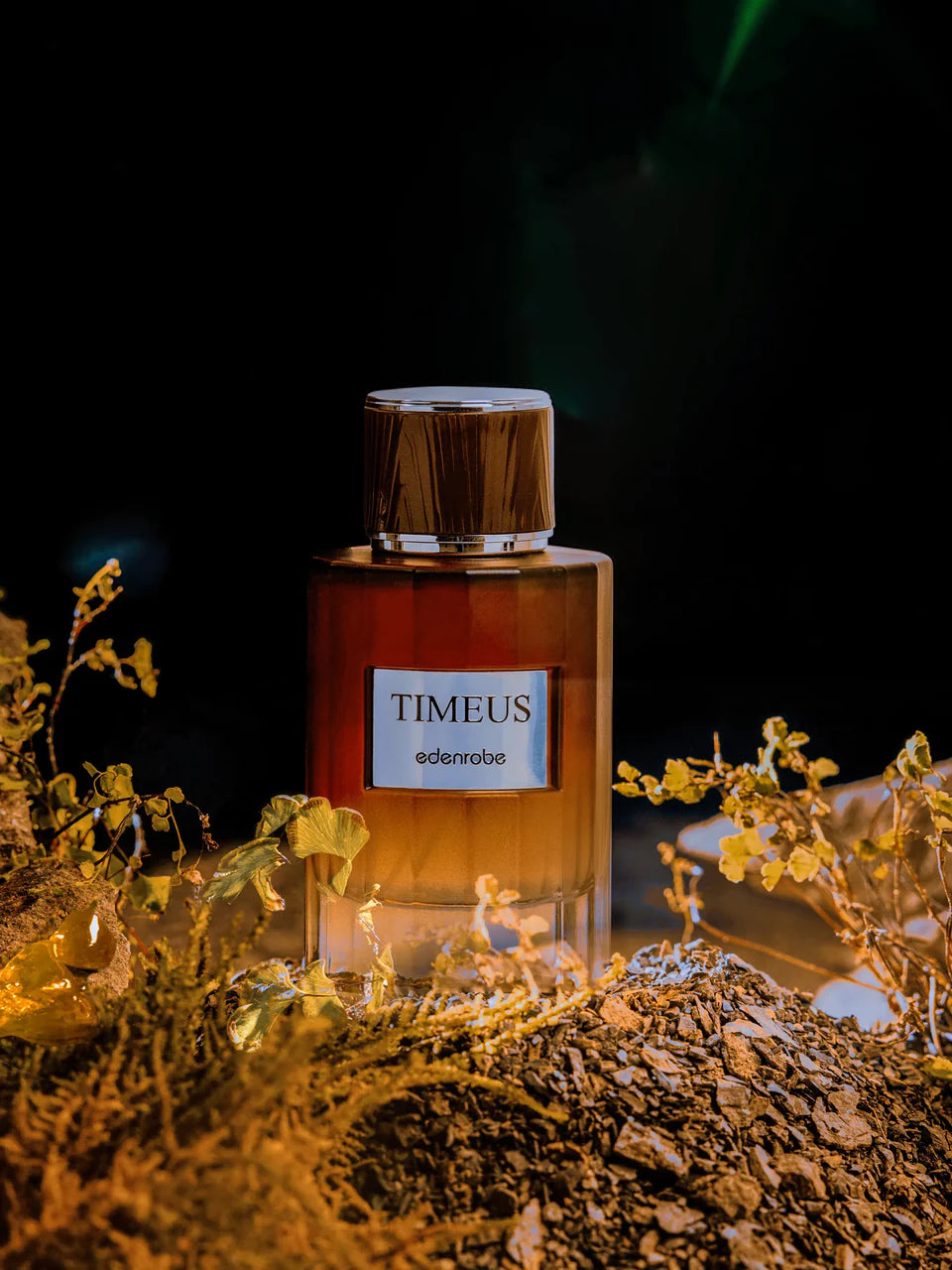 ED-Timeus Men's Perfume 100ML - EBMF-TIMEUS)