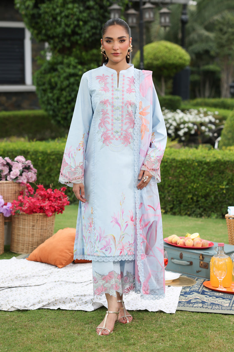 Rang Rasiya Printed Lawn Suits Unstitched 3 Piece Lara