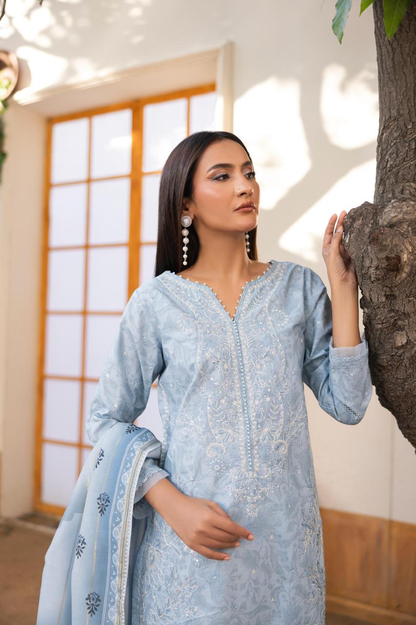 Zeenat Pret Raniya - 3 PC Printed Dress