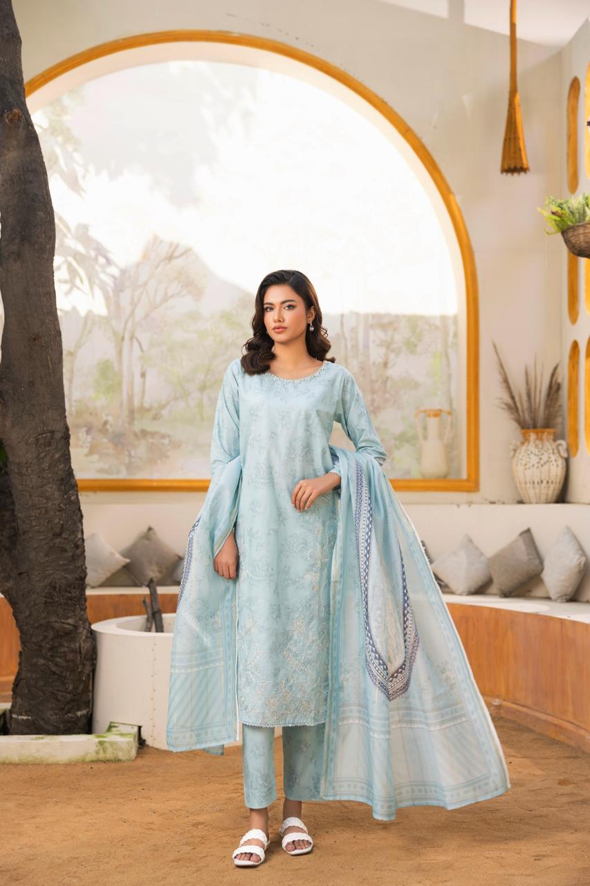 Zeenat Pret Raniya - 3 PC Printed Dress