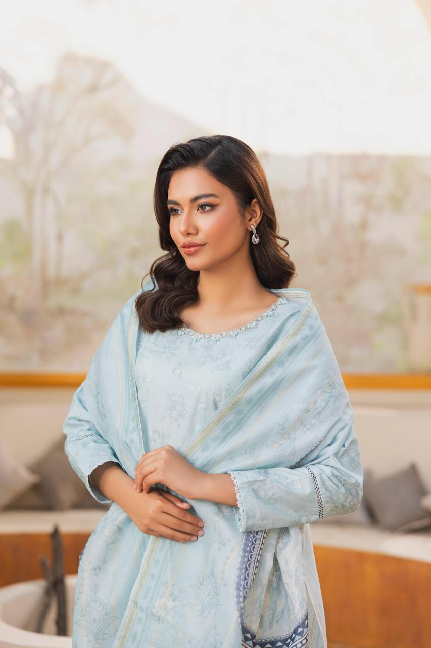 Zeenat Pret Raniya - 3 PC Printed Dress